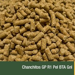 Chanchitos GP R1 Pel BTA Gnl