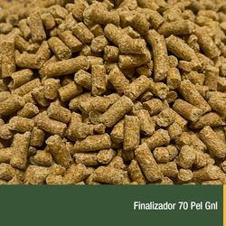 Finalizador 70 Pel Gnl