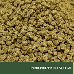 Pollitas Iniciacion PNA SA Cr Gnl