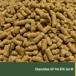 Chanchitos GP Pel BTA Gnl M