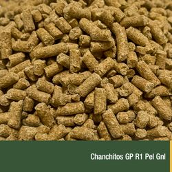 Chanchitos GP R1 Pel Gnl