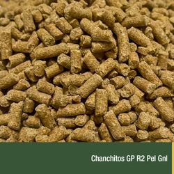Chanchitos GP R2 Pel Gnl