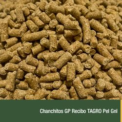 Chanchitos GP Recibo TAGRO Pel Gnl