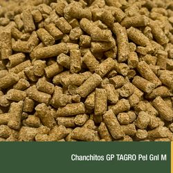 Chanchitos GP TAGRO Pel Gnl M