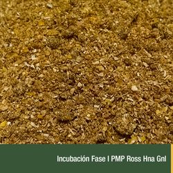 Incubacion Fase I PMP Ross Hna Gnl
