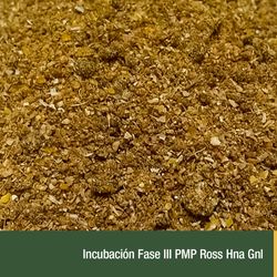Incubacion Fase III PMP Ross Hna Gnl