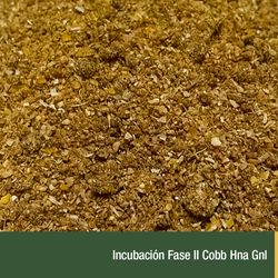 Incubacion Fase II Cobb Hna Gnl