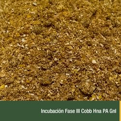 Incubacion Fase III Cobb Hna PA Gnl