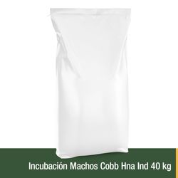Incubacion Machos Cobb Hna Ind 40 kg
