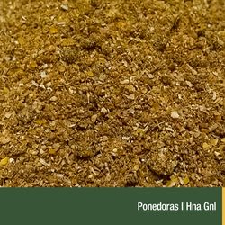 Ponedoras I Hna Gnl