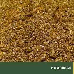 Pollitas Hna Gnl