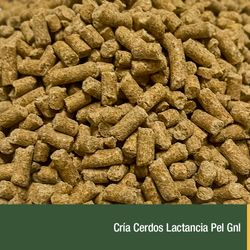 Cria Cerdos Lactancia Pel Gnl