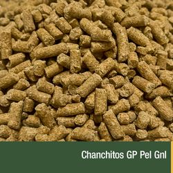 Chanchitos GP Pel Gnl