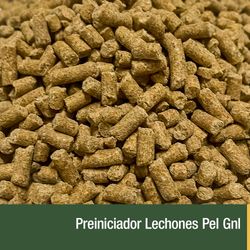 Preiniciador Lechones Pel Gnl